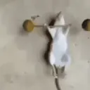 Çıkartma