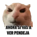 Çıkartma