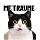 Çıkartma