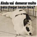 Límmiði