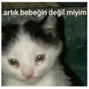 Autocollant