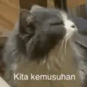 Límmiði