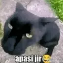 اسٹیکر