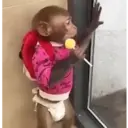 स्टिकर