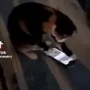 Стикер