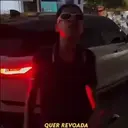 Samolepka