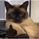 贴纸