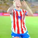 Samolepka