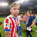 Samolepka