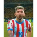 Samolepka