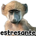 Stiker