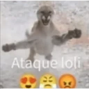 贴纸