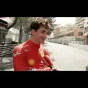 Samolepka