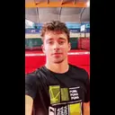 Samolepka