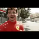Samolepka
