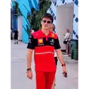 Samolepka