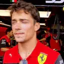 Samolepka