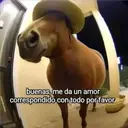 Autocollant
