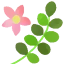 اسٹیکر