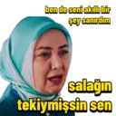 Samolepka