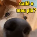 Figurinha