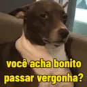 Figurinha