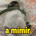 Figurinha