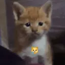 اسٹیکر