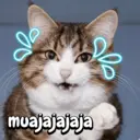Figurinha
