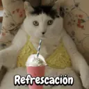 Figurinha