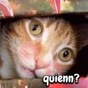 Figurinha