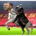 Կպչուն պիտակ