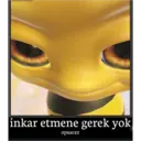 Stika