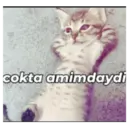 Stika