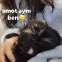 Çıkartma