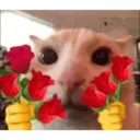 Стикер