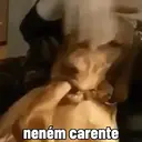 Figurinha