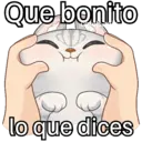 Figurinha