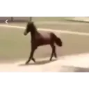 스티커