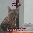 Çıkartma