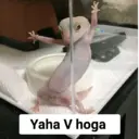 Стикер