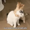 Стикер