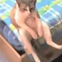 Figurinha