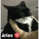 สติกเกอร์