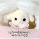 Figurinha