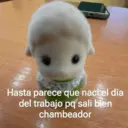 Figurinha