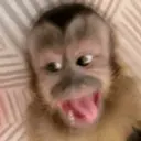 ملصق