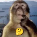 ملصق