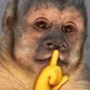 اسٹیکر