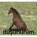 ステッカー